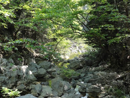 Hiking near Gialtra Evia Greece